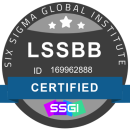 Lean Six Sigma Black Belt