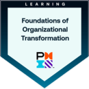 PMI Organizational Transformation Foundation